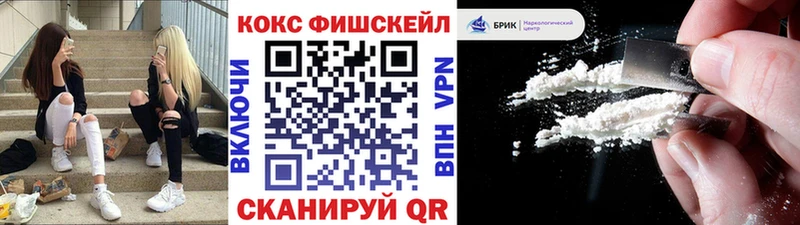 Cocaine FishScale  продажа наркотиков  Усть-Джегута 