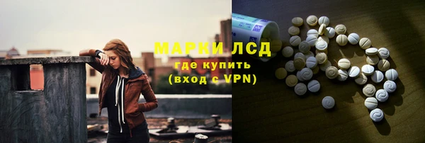 прущие грибы Баксан