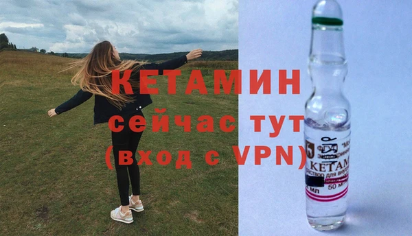 прущие грибы Баксан