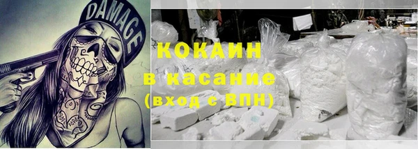 прущие грибы Баксан